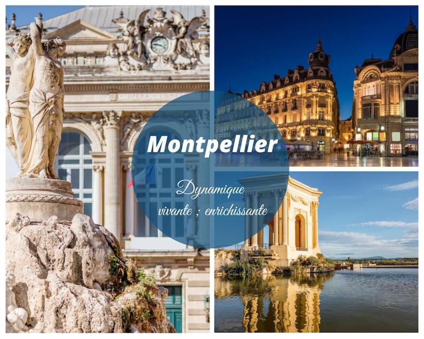 Le Nautilus Proche Plage Clim Parking Prive Wifi Proche Montpellier Карнон-Плаж Экстерьер фото